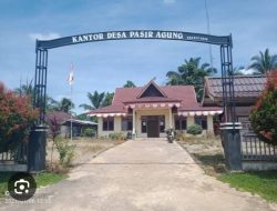 *Gawat”Kades Desa Pasir Agung Rokan Hulu, Riau Di Duga Korupsi Dana desa, Berlindung Di’pemdes Rohul-Riau* 