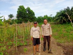 Cek Perkebunan Warga, Aiptu Amran Firdaus Mengungkapkan Petani Terkendala Pupuk