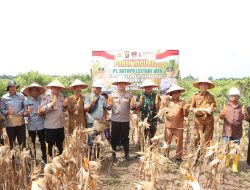 Kolaborasi Polres Banyuasin-PT SLJ Sukses Panen Jagung, Kapolres Tekankan Keberlanjutan