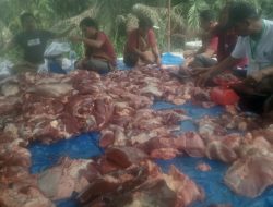 Pemerintah dan Warga Sungai Buluh Gelar Pemotongan Hewan Kurban Penuh Keakraban