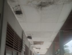 Kajari Pelalawan Diminta Audit SDN 009 Sungai Buluh