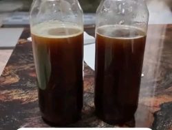Madu Sialang Asli Kuala Tolam, Pilihan Sehat dari Alam Riau