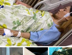 Tak Tahan di Aniaya Suami Bule, Seorang IRT Lapor Ke Polresta Pekanbaru, Korban Berharap Pengaduannya Segera Ditindaklanjuti 