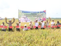 Kapolres Banyuasin Dampingi Bupati Panen Raya IP 200 di Karang Agung Ilir