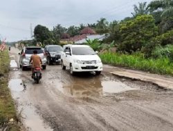 Jalan Lintas Rohul-Perbatasan Sumut ‘Sakit-sakitan’, Mengapa Belum Jadi Jalan Nasional?