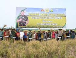 Panen Raya Perdana Padi Gogo Kerja Sama Korem 044/Gapo dan PT. Agrindo Raya
