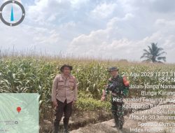 Bhabinkamtibmas Polsek Pulau Rimau Monitor Lahan Jagung Dukung Ketahanan Pangan