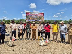 Polsek Pulau Rimau melaksanakan penanaman jagung di Desa Sumber Rejo Kec.Selat penuguan Kab.Banyuasin      