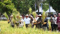 Danrem 044/Gapo Hadiri Pembukaan Gebyar Perbenihan Tanaman Pangan Nasional Ke-X Prov. Sumsel Tahun 2025